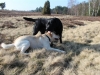 img_0306-small img_0306-small