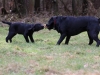 img_0061-small img_0061-small