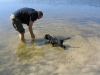 IMG_0271 IMG_0271