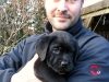 Welpen 032
