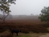 IMG_20151018_135610704