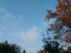 IMG_20151019_161249147