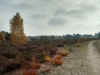IMG_20151020_133103301_HDR