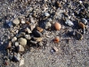 dsc05224-medium dsc05224-medium