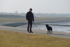 Hundestrand Norddeich