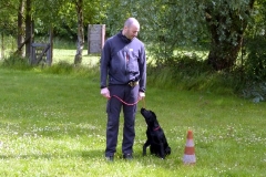 Hundetraining