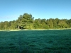 IMG_20150720_065327575_HDR