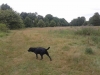 IMG_20140730_130146 (Small)