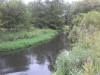 IMG_20140730_130207 (Small)
