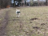 img_0110-small img_0110-small