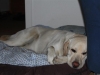 img_0194-small img_0194-small