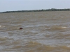 IMG_0004 (Small)