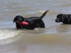 IMG_0007 (Small)
