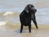 IMG_0014 (Small)