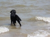 IMG_0029 (Small)