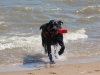 IMG_0041 (Small)