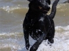 IMG_0086a (Small)