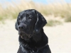 IMG_0113 (Small)
