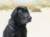 IMG_0115 (Small)