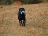 IMG_0103 (Small)