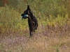 IMG_0125 (Small)