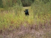 IMG_0140 (Small)