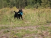 IMG_0150 (Small)
