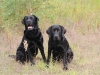 IMG_0162 (Small)