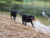 IMG_0204 (Small)