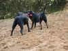 IMG_0252 (Small)