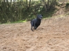 IMG_0263 (Small)