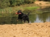 IMG_0314 (Small)