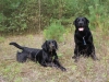 IMG_0350 (Small)