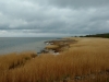 IMG_20150510_113801918