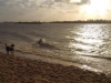 IMG_20150102_121939968a (Small)