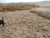 IMG_20150102_122719798a (Small)