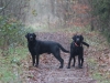 IMG_0131 (Small)