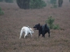 IMG_0148 (Small)
