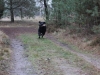 IMG_0158 (Small)