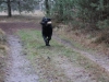 IMG_0161 (Small)