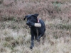 IMG_0197 (Small)