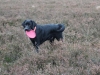 IMG_0229 (Small)