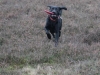 IMG_0245a (Small)