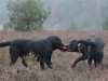 IMG_0257 (Small)