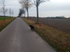 IMG_20151108_150433137