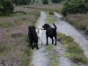 IMG_0017 (Small)