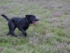 IMG_0032 (Small)