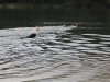 IMG_0069 (Small)