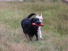 IMG_0117 (Small)