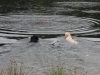 IMG_0132 (Small)